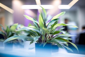 Wall Mural - A close-up of a green plant in a blue pot Generative AI