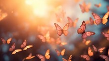 Butterflies Flying In The Sunset Light. Beautiful Nature Background. Peach Fuzz Color