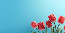 Large Red Tulips On Blue Background