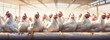 A lot of white chickens at the poultry farm, generative AI