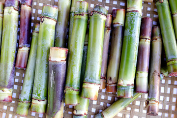 Wall Mural - Fresh sugar cane on bamboo weave plate