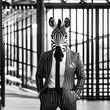 A sophisticated zebra in formal wear, posing for a portrait in a black-and-white theme2