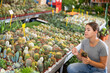 Cute woman choosing potted plants - different small prickly cactus for her home apartment in greenhouse or flower store
