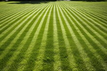 Texture Of A Freshly Mowed Lawn With Neat Stripes
