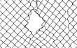Torn steel wire mesh silhouette