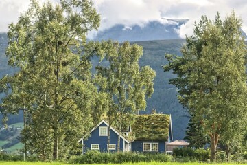 Wall Mural - Olden, Norway