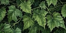 Ivy Green Nettle Leaves And Vines Wallpaper, Generative AI
