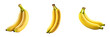© PNG, Vector & Video - Tropical Trio: Vibrant Banana Collection on Transparent Background