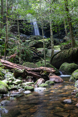 Wall Mural - Waterfall in deep forest at At Phu Kradueng National Park, Thailand