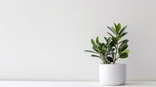 A Potted Plant In A White Background Is A Reminder Of The Beauty That Can Be Found In Simplicity. Ai Generated.