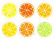 柑橘系フルーツの輪切りイラスト
