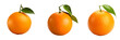 Vibrant Tangerine Fruit Isolated on Transparent Background