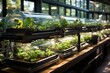  State-of-the-art aquaponics system growing fish and vegetables, Generative AI