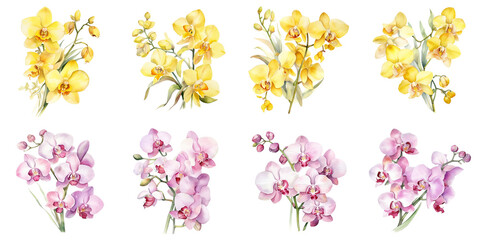 Wall Mural - watercolor yellow moon orchid flowers and pink moon orchid flowers Artificial Intelligence Generative
