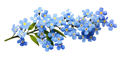 Wall Mural - forget-me-not flower Artificial Intelligence Generative