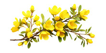 Yellow Bush Flowers Artificial Intelligence Generative