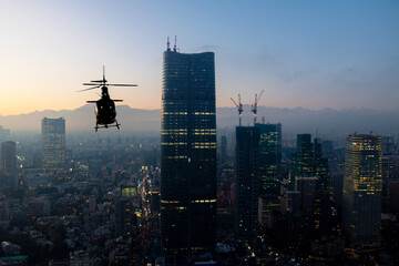  Helicopter over Tokyo