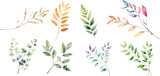 Fototapeta  - Watercolor leaf stems on a white background