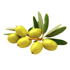 Wall Mural - Jojoba oil isolated on transparent background