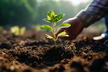 Climate Action Planting A New Tree To Combat And Mitigate Climate Change