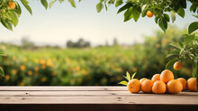 Oranges Fruits On Wooden Table With Farms Views Background For Products Montage, Healthy Food Collection For Represent Concept Of Organic Fruits, Fresh Ingredient, Food And Wellness Theme