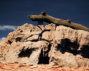 Wall Mural - Fallen dead tree trunk on sandstone rock formation in sunlight under dark cloudy sky.