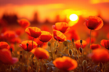 Wall Mural - poppy flower field