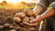 Organic Potato Farmer Holding Fresh Harvest in Hands