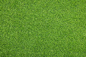 Wall Mural - Green artificial grass as background, top view