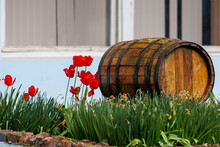 An Old Barrel In The Decoration Of A Flower Bed. Background With Selective Focus And Copy Space