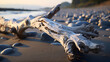 Juniperus in Dune di Piscinas, Sardinian Desert, Arbus, Italy, Fantasy shaped driftwood on a beach in susnet, driftwood on the beach, Beautiful evening landscape at sunset. View from the river bank t
