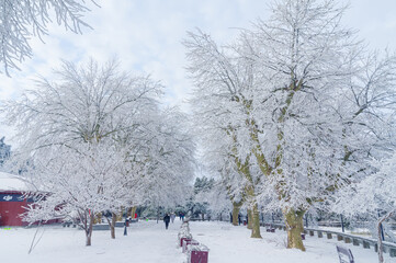 Winter snow scene in Lushan/Mountain Lu National Park Scenic Area, Jiujiang, Jiangxi, China