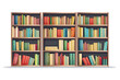 © Zaharia Levy - books on bookshelf isolated vector style illustration