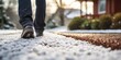 Homeowner salts the path , concept of Snow removal
