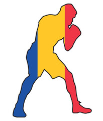 Wall Mural - Boxer With Romanian Flag