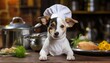 Playful and cute dog in a chef hat cooking delicious meals for animal nutrition in the kitchen