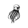 jellyfish vector illustration hand drawn