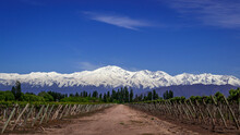 
We see the beautiful Andes mountain range in the background, completely snow-covered and imposing, right at the foot of it a varietal vineyard, with the best grapes from Mendoza, along the Mza Arg wi