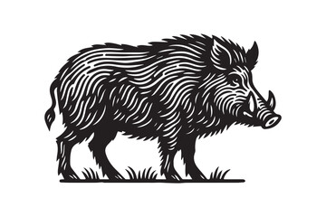 Wall Mural - A wild boar. Vintage retro engraving illustration. Black icon, isolated element