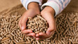 Seeds of Sustainability: Children's Hands Embrace Wood Pellets. Generative AI