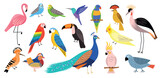 Fototapeta Pokój dzieciecy - Decorative tropical birds. Exotic bright parakeets, colorful feathered creatures, pink flamingo, peacock, hummingbird and toucan, vector set.eps