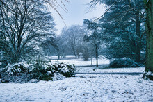 Winter In The Park In Harrogate, North Yorkshire