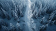Natural winter scene from above road through snowy forest 