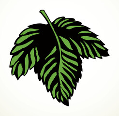 Sticker - Large vine leaf. Vector drawing