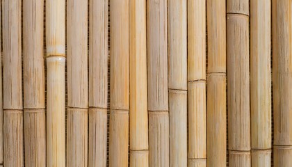  bamboo texture wood