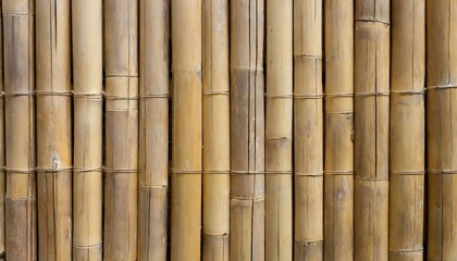  bamboo wall texture background