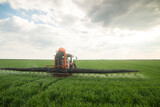 Fototapeta  - Tractor spraying wheat in field