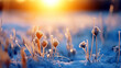 Winter Dawn: Frost-Cloaked Flora and Glistening Snow