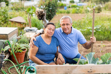 Portrait of happy cheerful elderly couple of amateur gardeners posing in homestead garden on sunny summer day