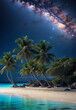 beach, Tropical Paradise, palm trees sand, night sky